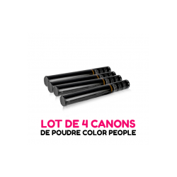 product category name - product name